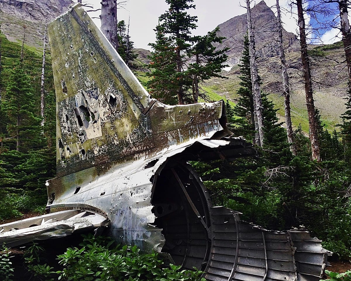 šØāš» Steel Orca Tech Support #1: I broke Substack (and it wasn't that hard)